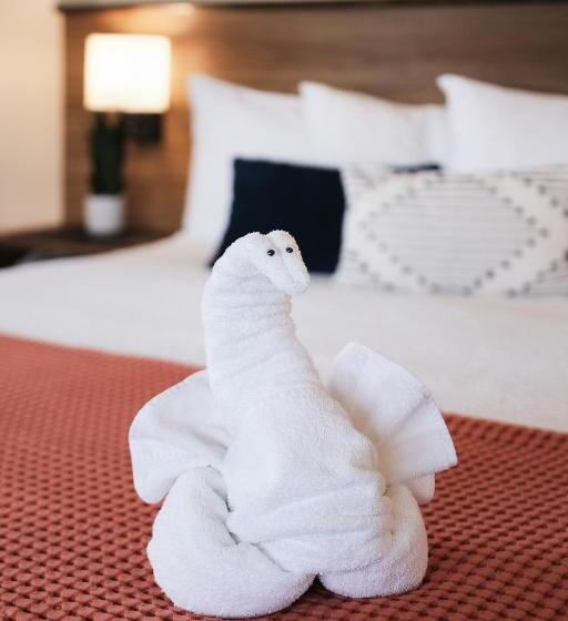 デラックスジュニアスイート, Estero Inn