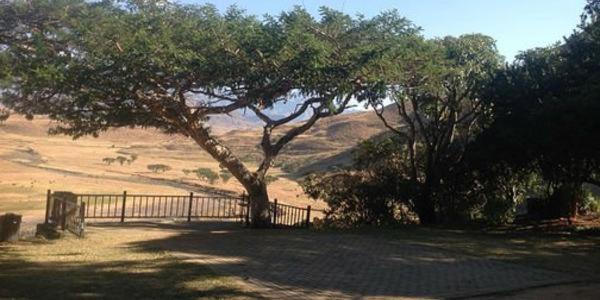 Standard Tent, Hlalanathi Drakensberg Resort