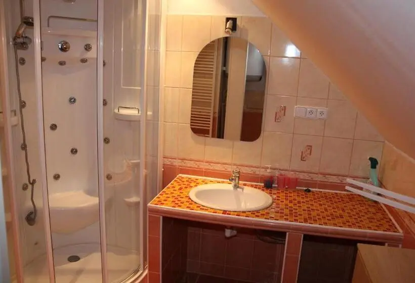 １ベッドルームアパートメント, Apartment Příbram