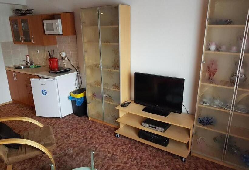 Апартаменты 1 Спальня, Apartment Příbram