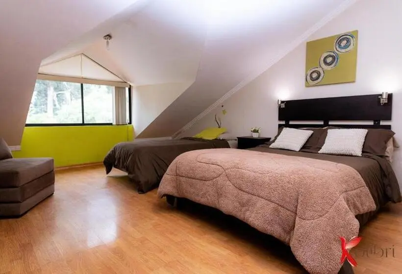 اتاق استاندارد, Hostal Kolibri B&b