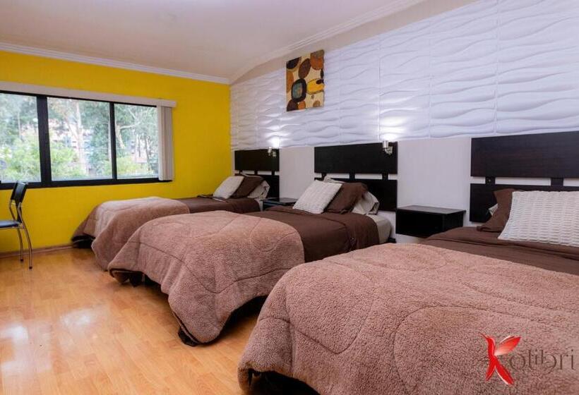 غرفة ديلوكس ثلاثية, Hostal Kolibri B&b