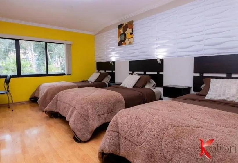 اتاق لوکس سه تخته, Hostal Kolibri B&b