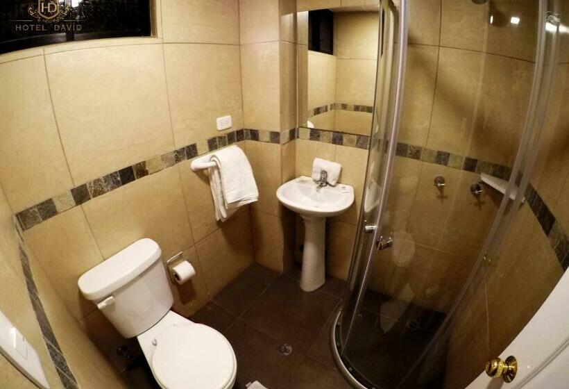 Standard Værelse, David