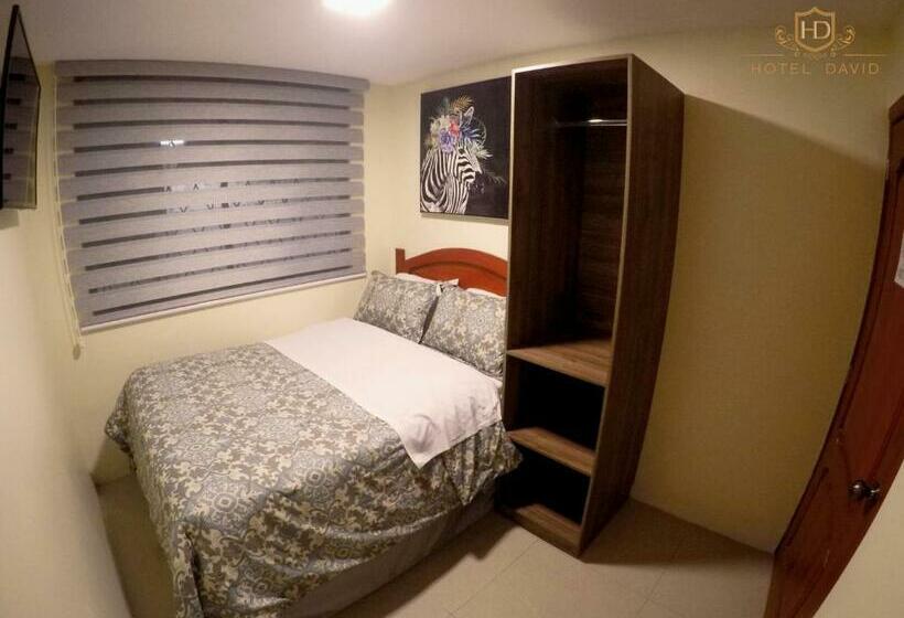 Standard Enkeltværelse, David