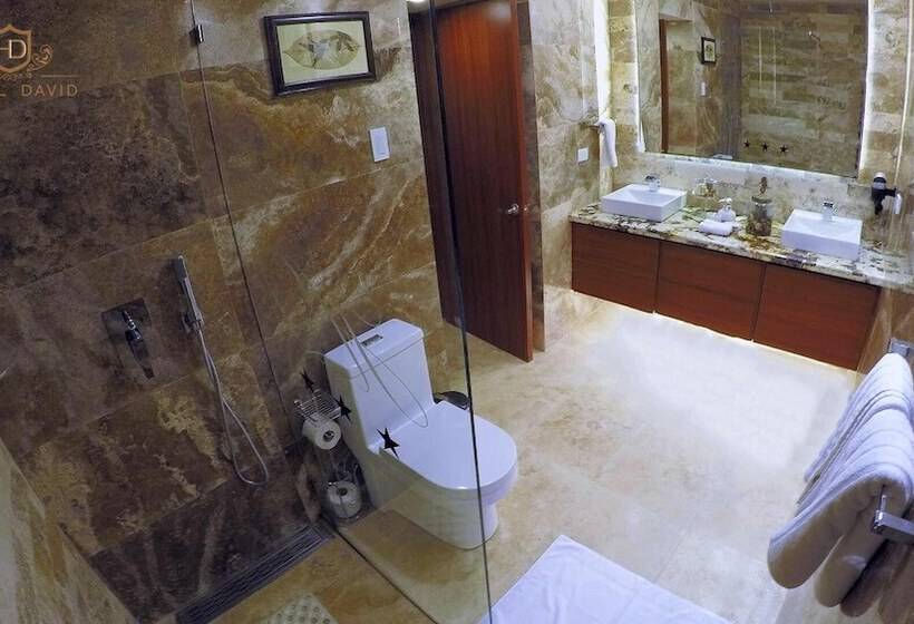 Suite med Balkon, David