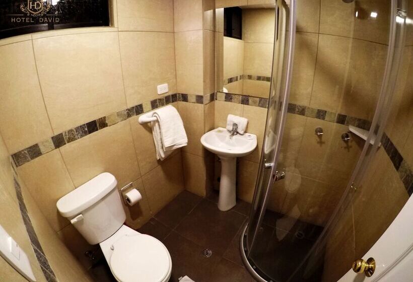 Standard Værelse, David