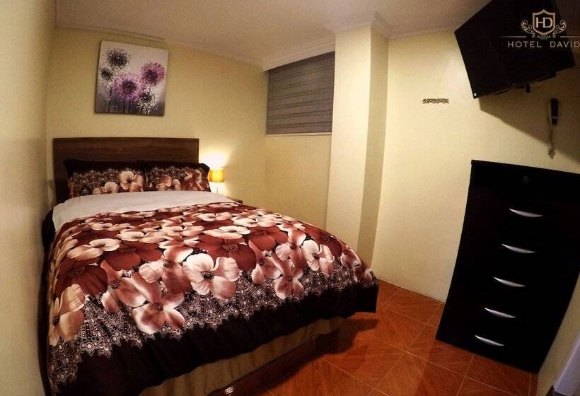 Standard Værelse, David