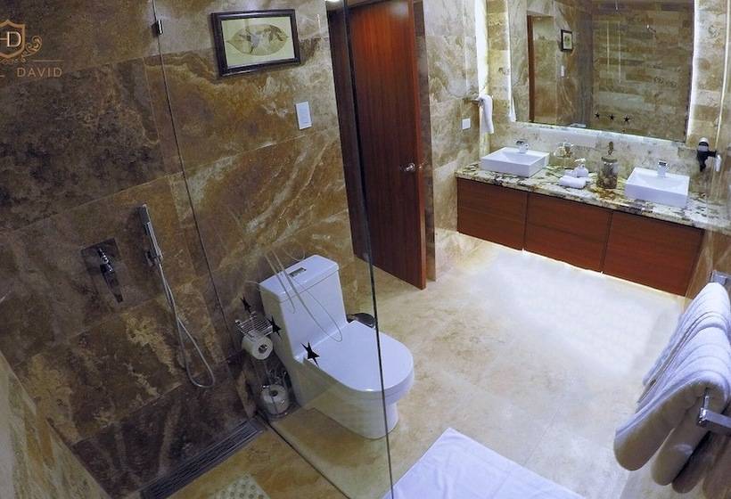 Suite med Balkon, David