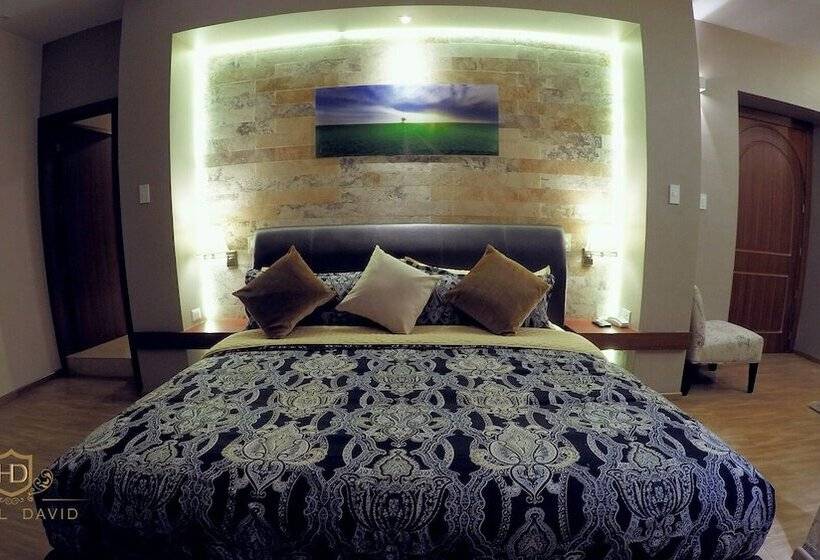 Suite med Balkon, David