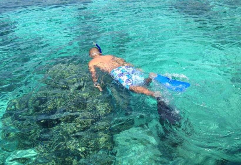 חדר אקונומי, Hobbit S House Homestay