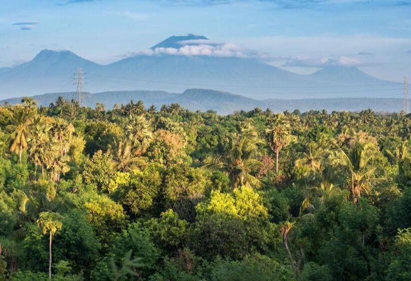 חדר דלוקס, Hobbit S House Homestay