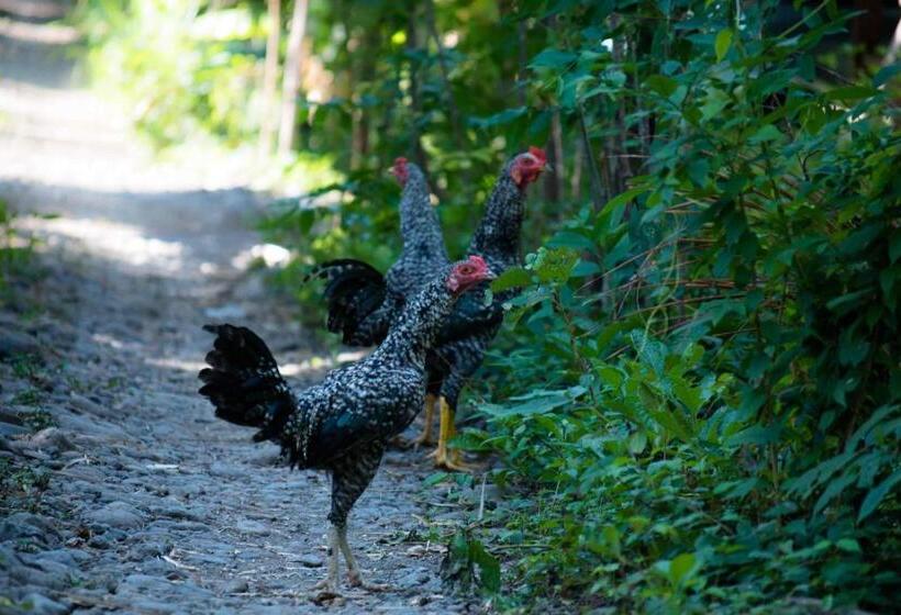 חדר דלוקס, Hobbit S House Homestay