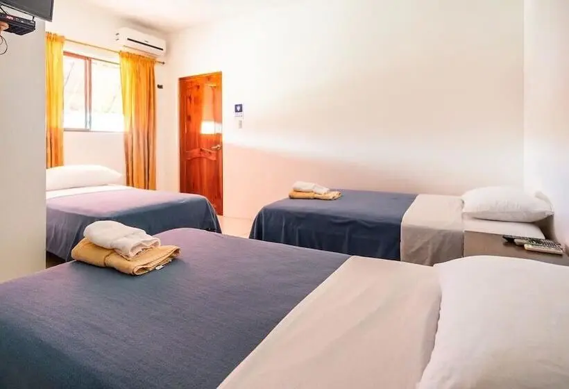 اتاق استاندارد سه نفره, Hostal Tongo Reef