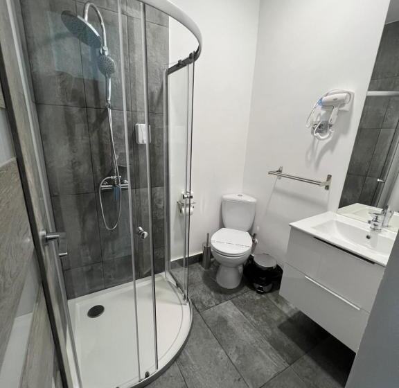 スタンダードシングルルーム, Pensiunea Luisa