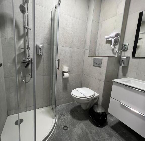 スタンダードシングルルーム, Pensiunea Luisa