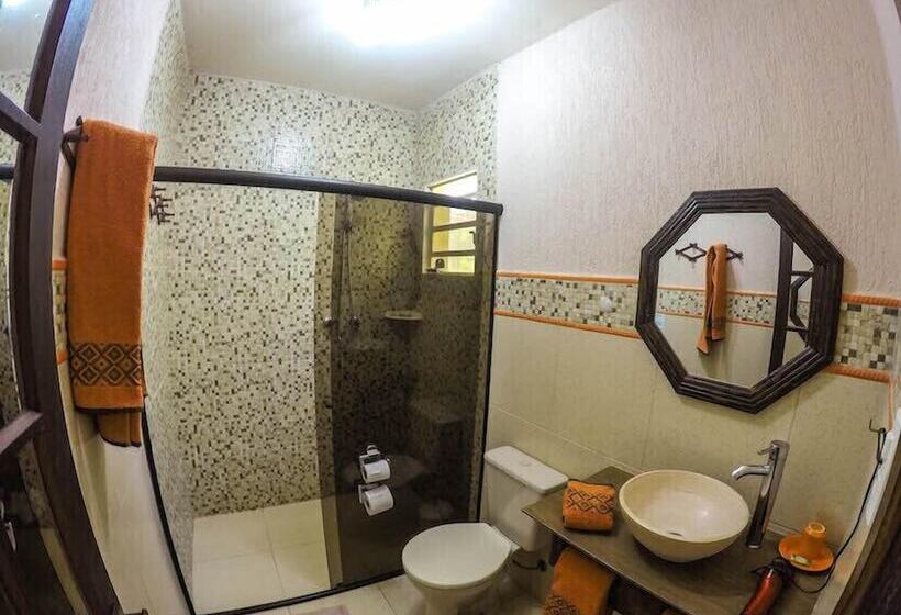 Suite, Ganso Complexo De Lazer