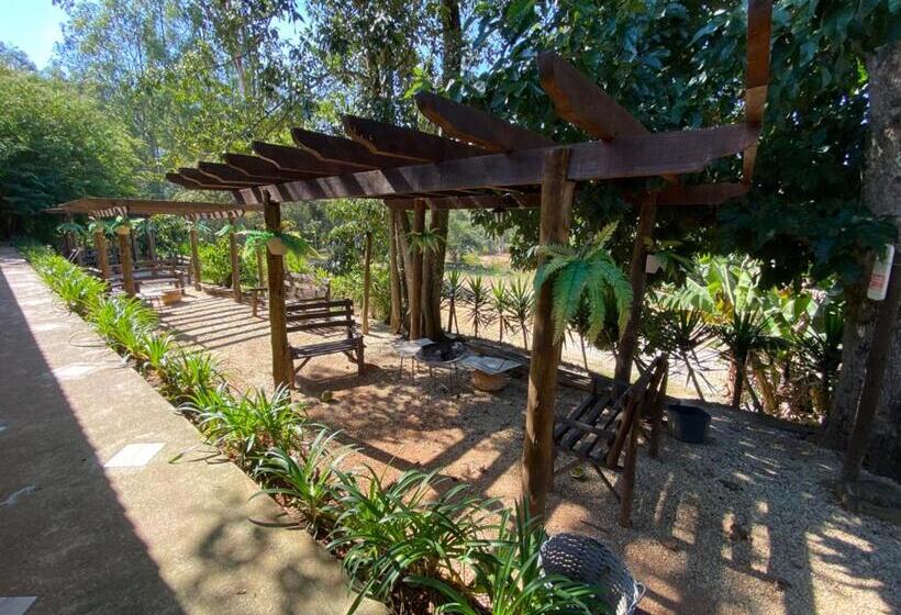 Suite, Ganso Complexo De Lazer