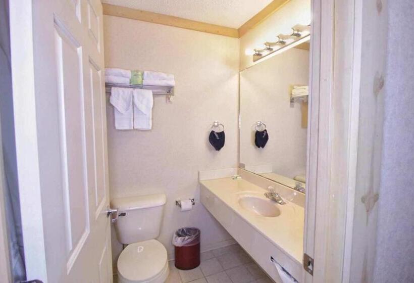 带大床的标准间, Paddle Wheel Inn