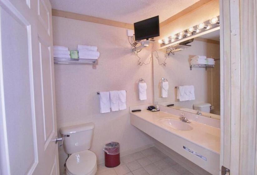 Люкс с гидромассажем, Paddle Wheel Inn