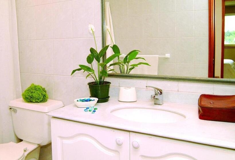 스탠다드 스튜디오, Apart Hotel Carampangue