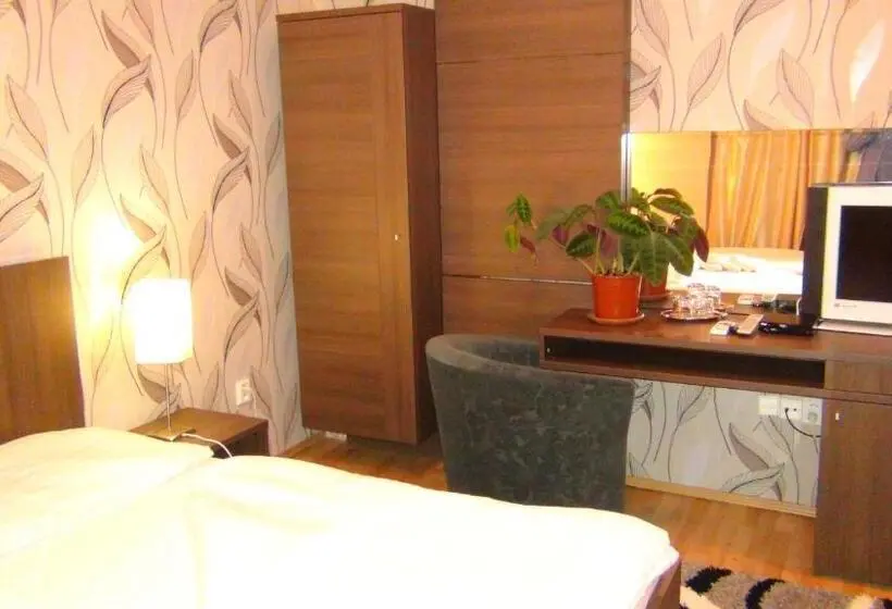 اتاق استاندارد یک نفره, Penzion Vila Aria