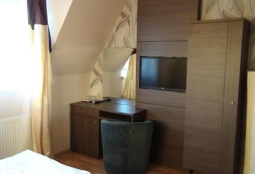 اتاق استاندارد یک نفره, Penzion Vila Aria