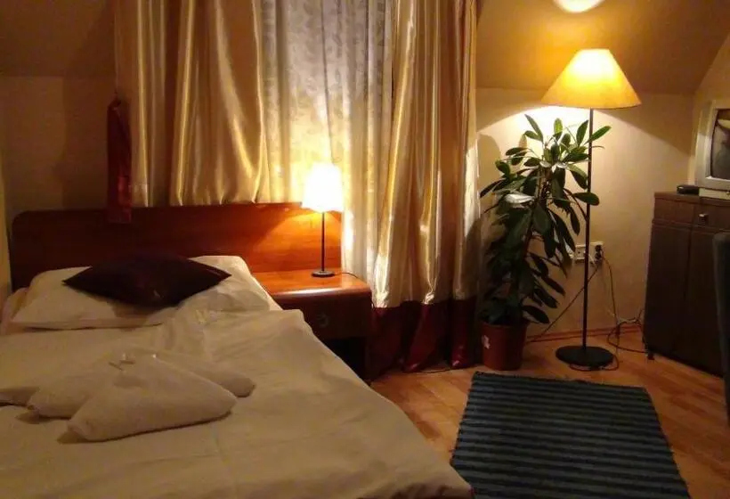 اتاق استاندارد یک نفره, Penzion Vila Aria
