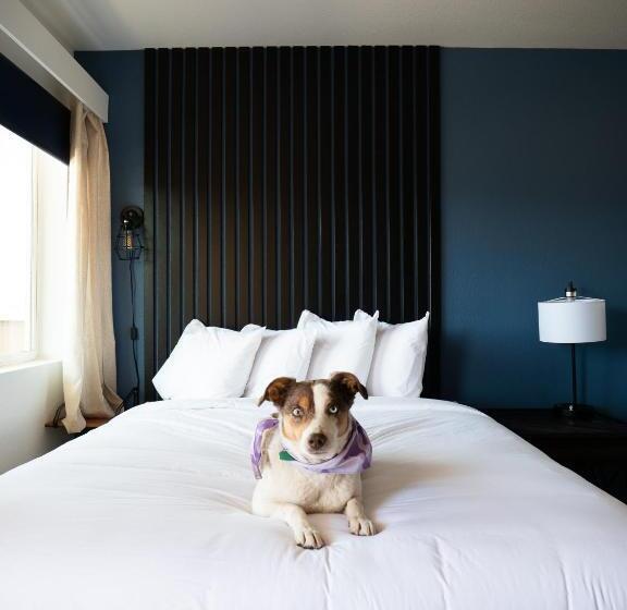 غرفة قياسية سرير كينج, Balanced Rock Inn