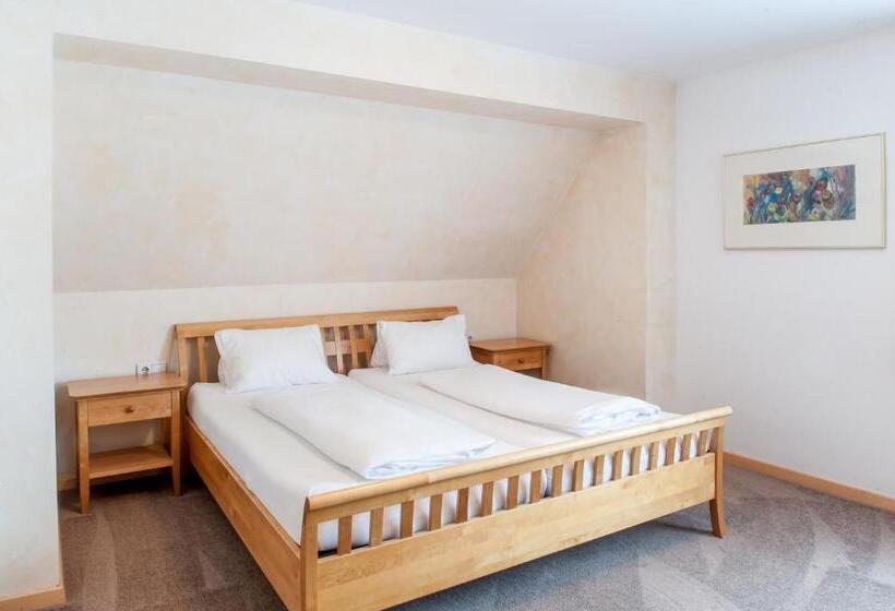 Standard-huone, Gästehaus Brugger