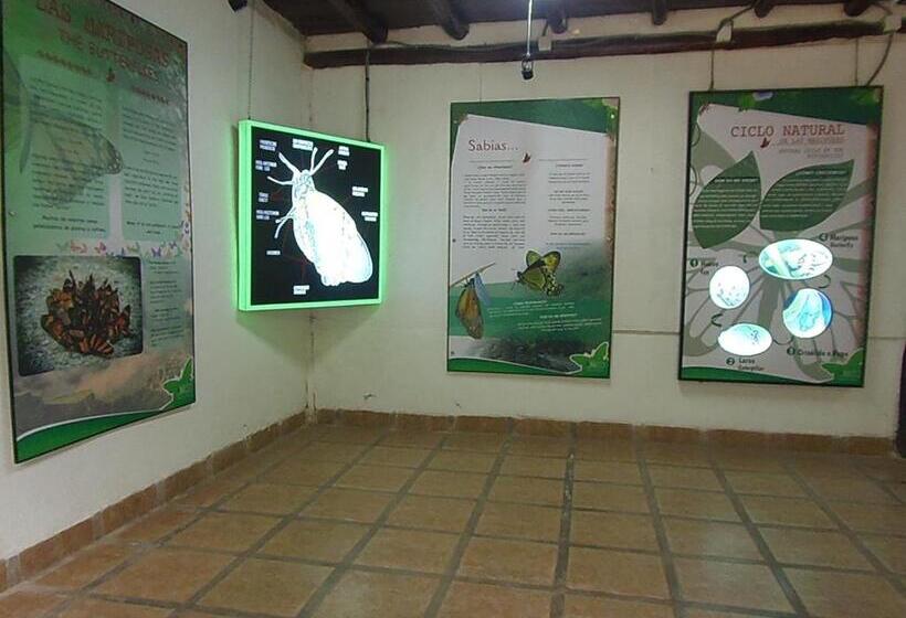 标准间, Hostal Pablo S House