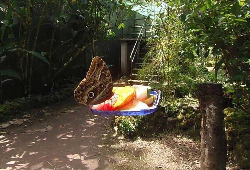 标准间, Hostal Pablo S House