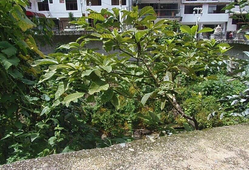 标准间, Hostal Pablo S House