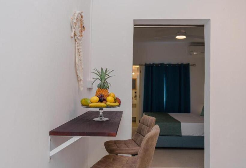 إستوديو قياسى مزودة بتراس, Bleu De Toi Boutique