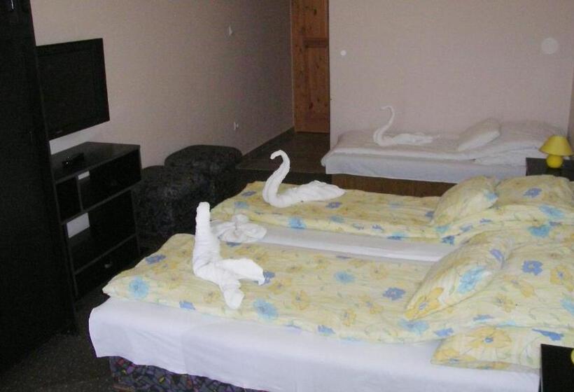 סטודיו סטנדרט עם מרפסת, Pálma Apartmanház Harkány