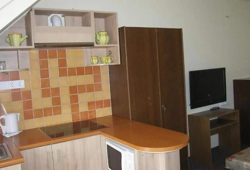 استودیو استاندارد با بالکن, Pálma Apartmanház Harkány