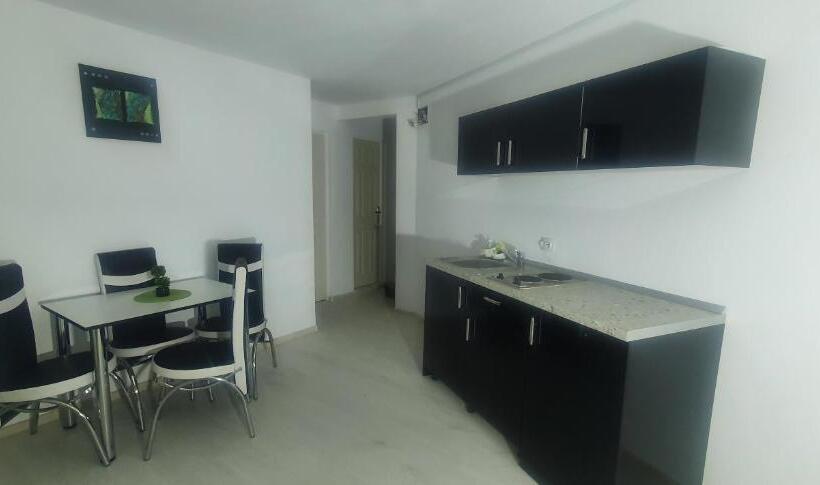 דירת חדר, Pensiunea Liziera