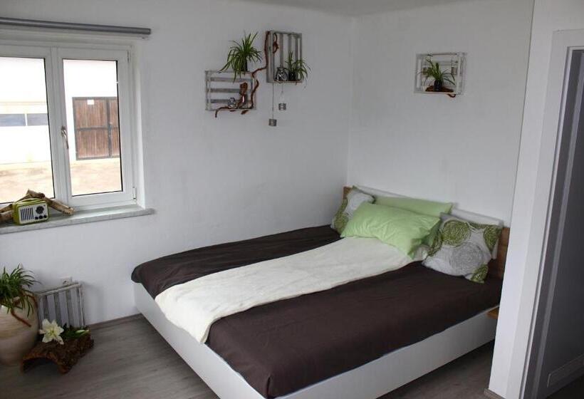 إستوديو قياسى ذو إطلالة, Bauernhof Schink