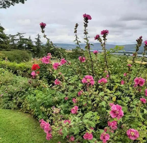 デラックススイート, Abhainn Ri Farmhouse