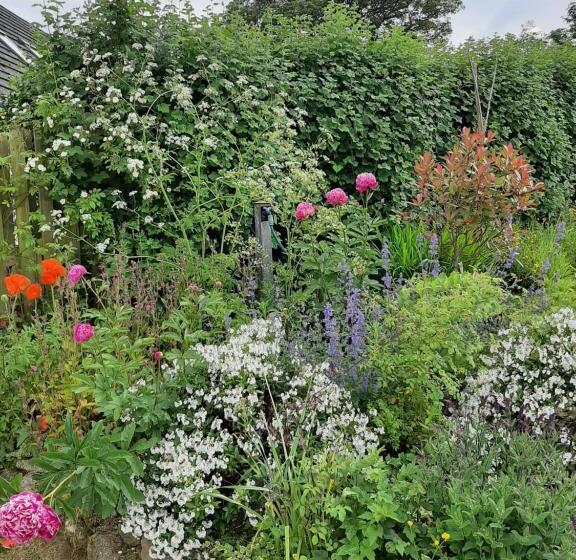 חדר דחוקס עם מיטת קינג, Abhainn Ri Farmhouse