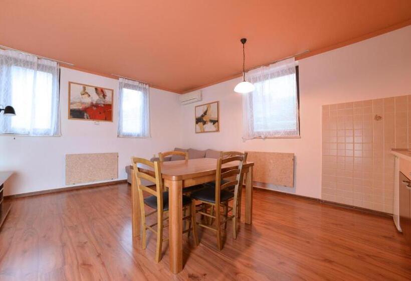 آپارتمان 1 خوابه, Guesthouse Les