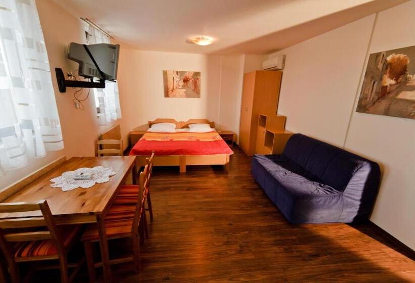 استودیوی استاندارد, Guesthouse Les