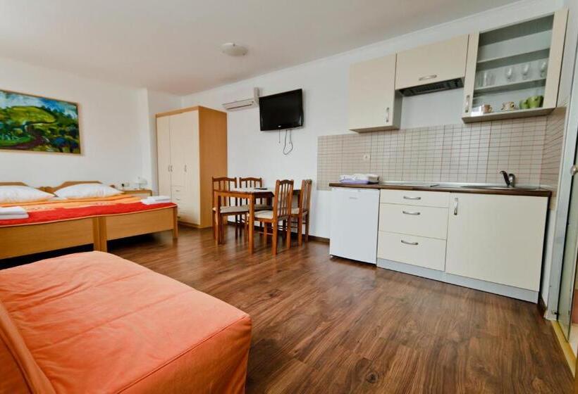 استودیوی استاندارد, Guesthouse Les