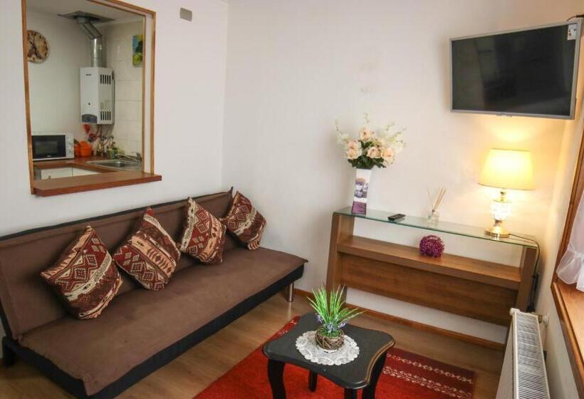 １ベッドルームアパートメント, Hostal Cordillera