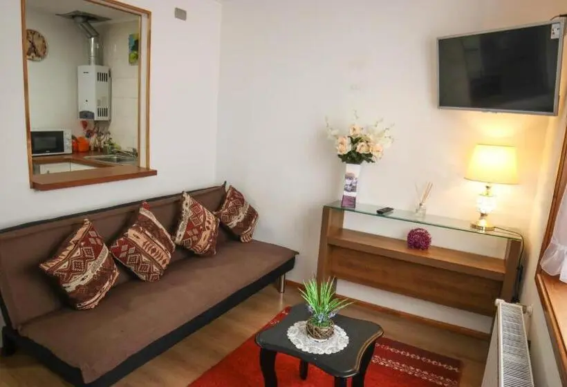 آپارتمان 1 خوابه, Hostal Cordillera