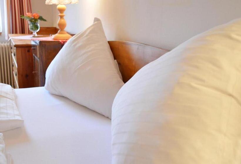 Standardrum Sjöutsikt, Bräugasthof Hallstatt