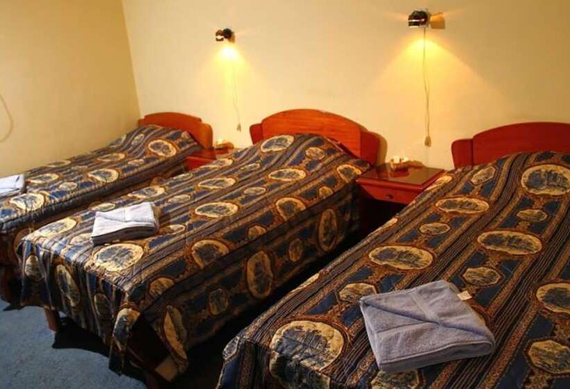 غرفة قياسية ثلاثية, Hostal Alfredo S Palace