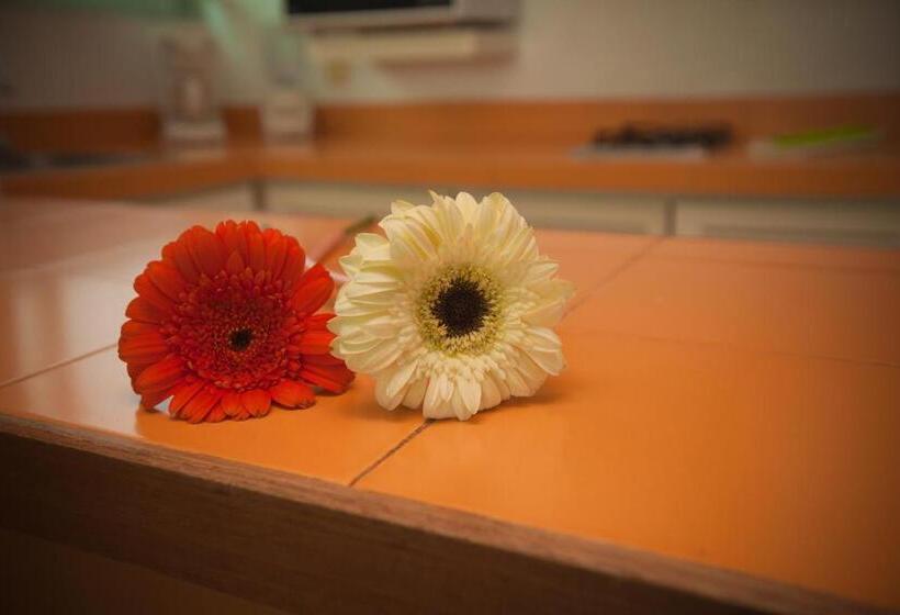 带1个卧室的带海景的公寓, Banderas Suites