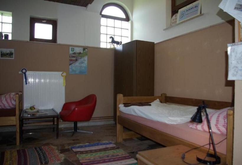 غرفة قياسية, Dabasi Lovas Vendégház