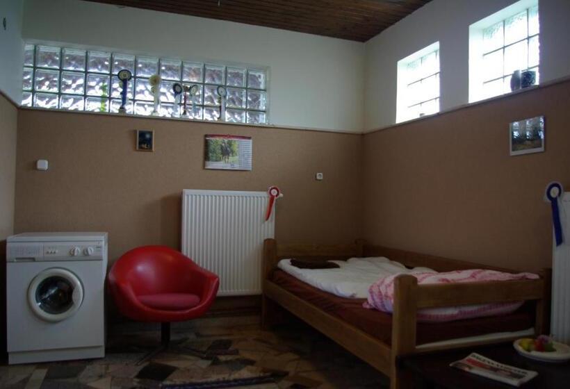 غرفة قياسية, Dabasi Lovas Vendégház